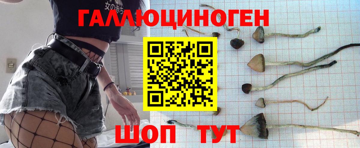 Галлюциногенные грибы Cubensis  Вход с VPN  Галлюциногенные грибы Psilocybe  Курчатов 