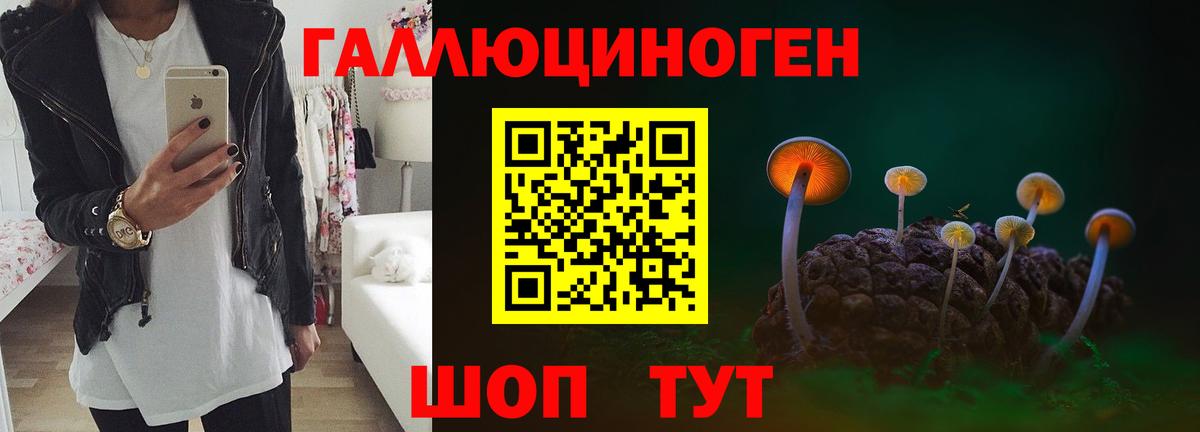 Псилоцибиновые грибы мицелий Курчатов